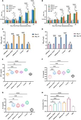 Virus-like particle vaccines with epitopes from porcine epidemic virus and transmissible gastroenteritis virus incorporated into self-assembling ADDomer platform provide clinical immune responses in piglets
